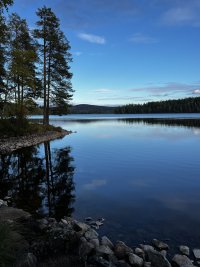IMG_7656.jpeg