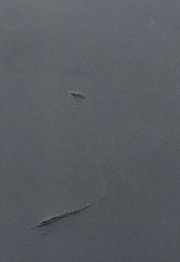 IMG_5013.jpeg