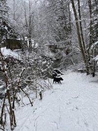 41670163-9E3E-46DF-9866-F1718E66F8AC.jpeg