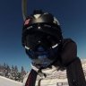 whistlingdogg