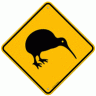 Kiwikamper