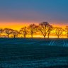 Chris Bell Photography