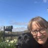 Jet_the_Dogs_Van