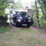 Aleve11