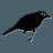 Antbird