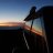 Campervanner
