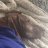 CamperTwiggy75