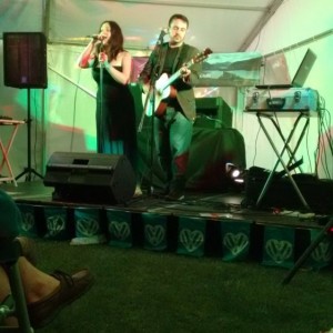 The Distance performing on Saturday evening