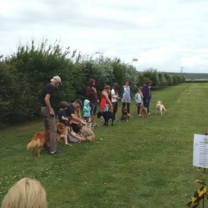 COTF 2015 - Dog Show