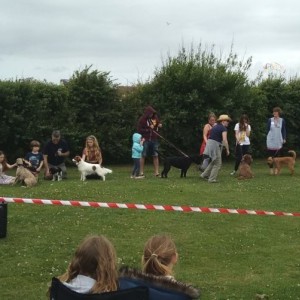 COTF 2015 - Dog Show