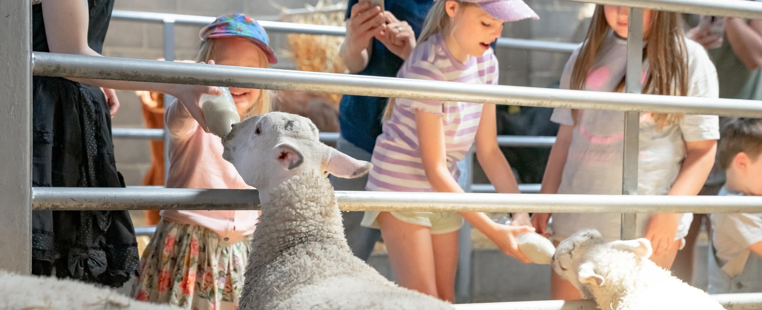 heskethfarmpark.co.uk