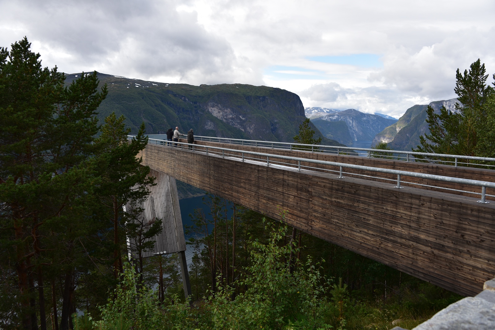 DSC_4206-X3.jpg
