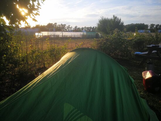 www.tripadvisor.com