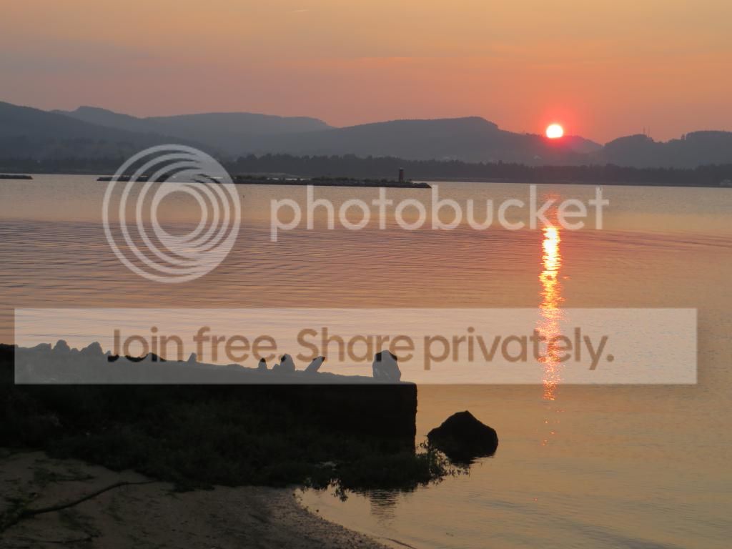 IMG_8601_zps80c6e144.jpg