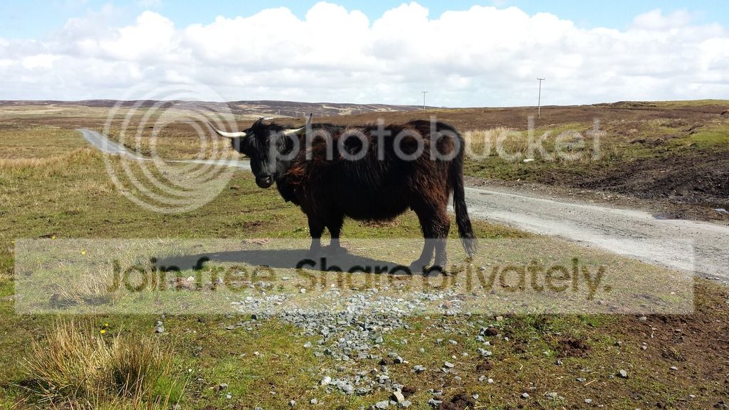 20150507_120729_zps6vigaadl.jpg