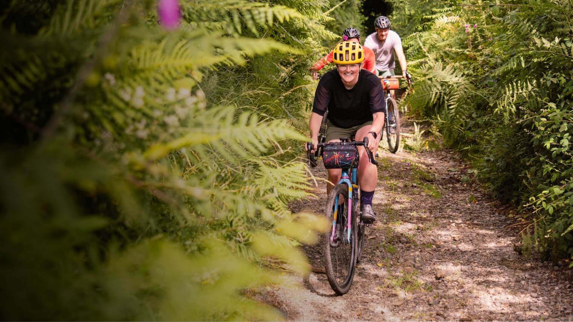 bikmo.com